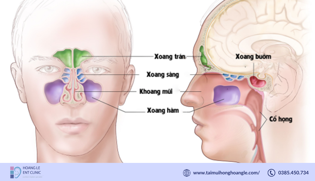 viem-xoang-man-tinh