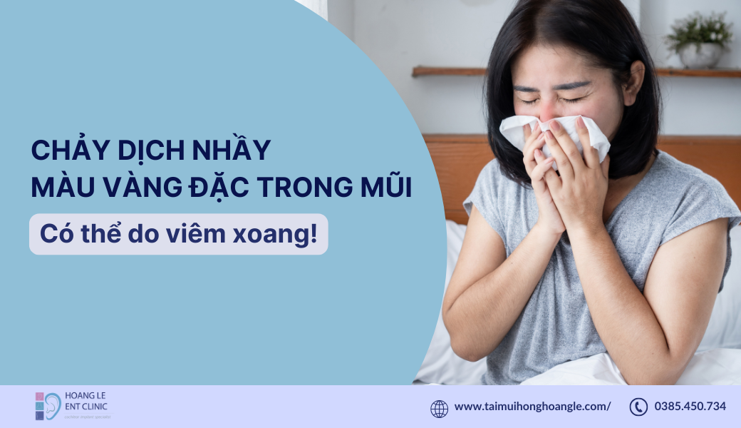 viem-xoang
